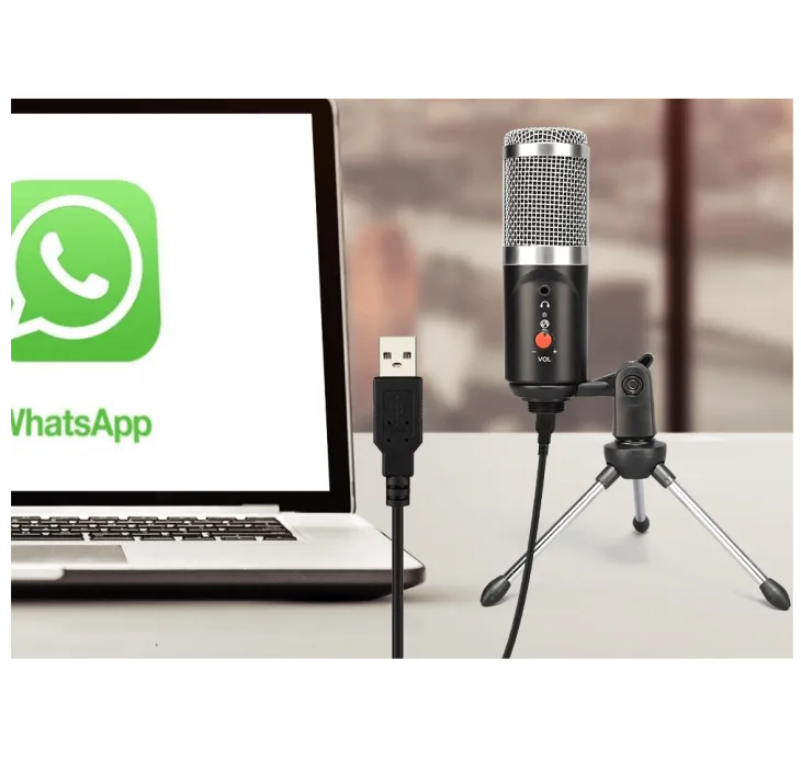 Enping Elegant Audio