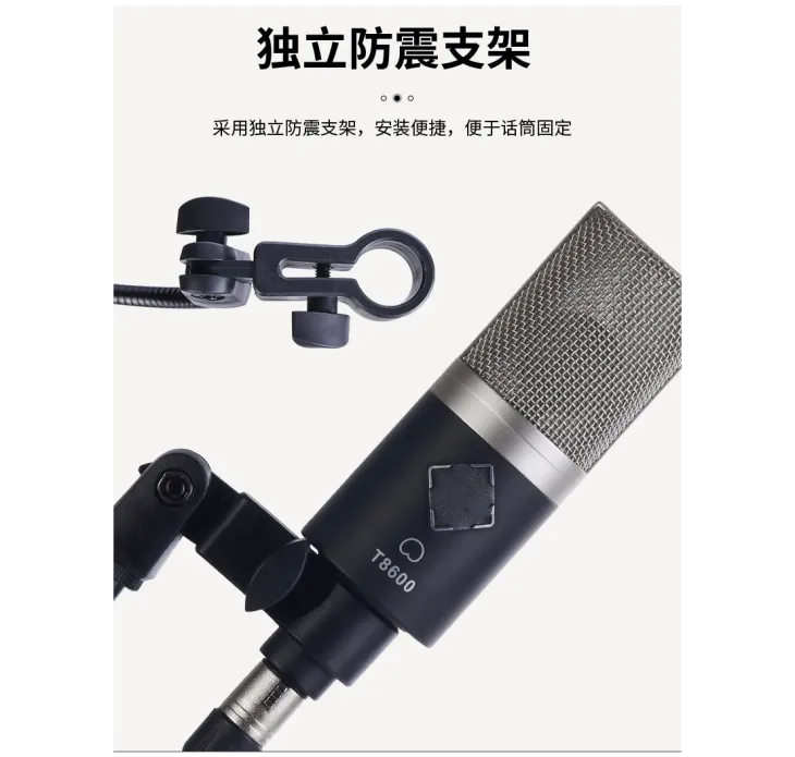 Enping Elegant Audio