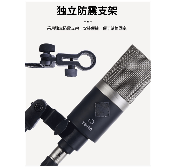 Enping Elegant Audio