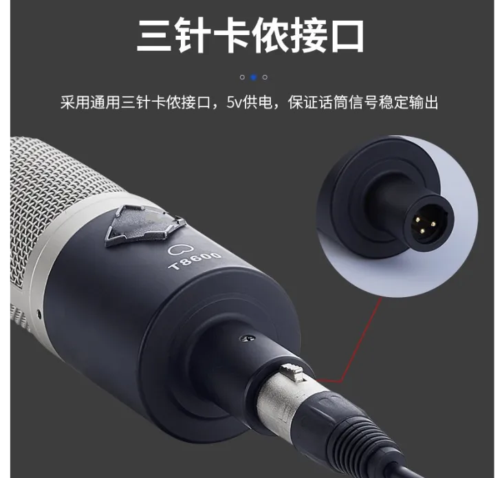 Enping Elegant Audio