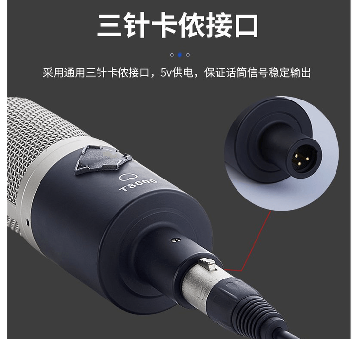 Enping Elegant Audio