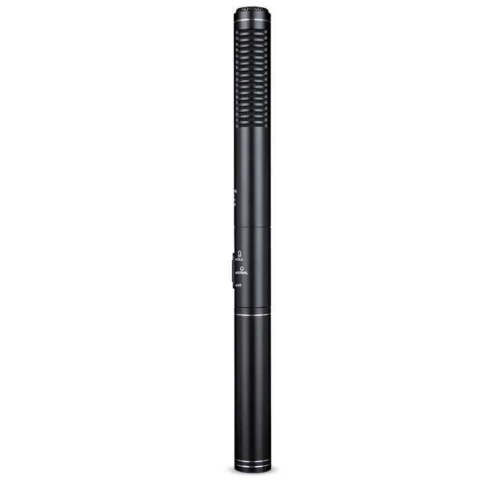 Enping Elegant Audio