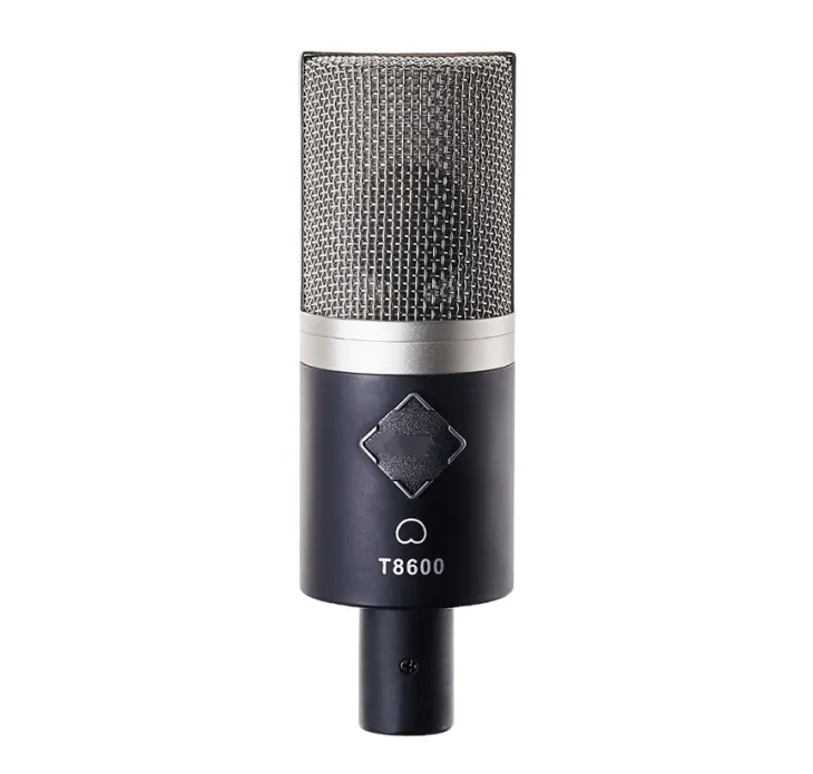 Enping Elegant Audio