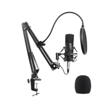 Enping Elegant Audio