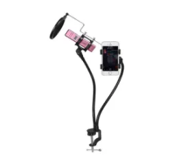 Enping Elegant Audio