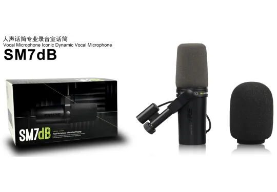 Enping Elegant Audio