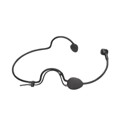 Enping Elegant Audio