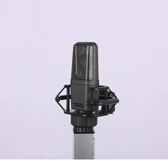 Enping Elegant Audio