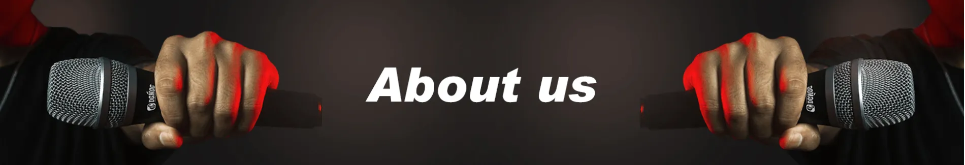 Enping Elegant Audio