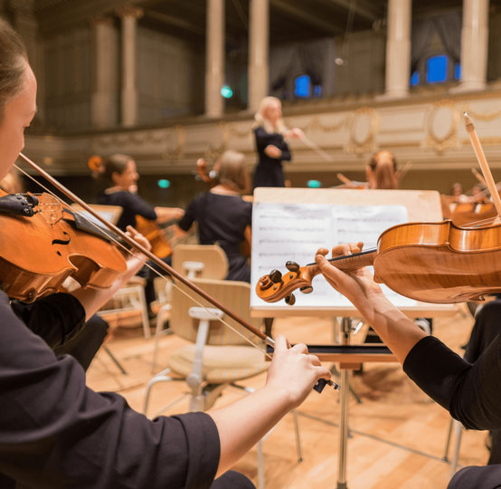 Enping Elegant Audio