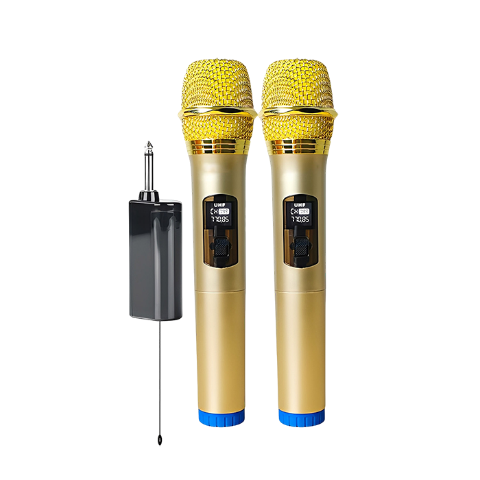 U-W2GG One to Two Wireless Microphone