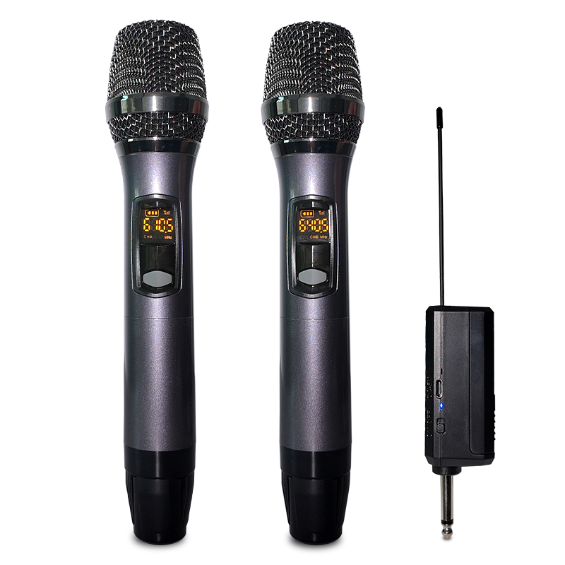 ELEGAUDIO YX-129 2-channel rechargeable UHF wireless microphone system
