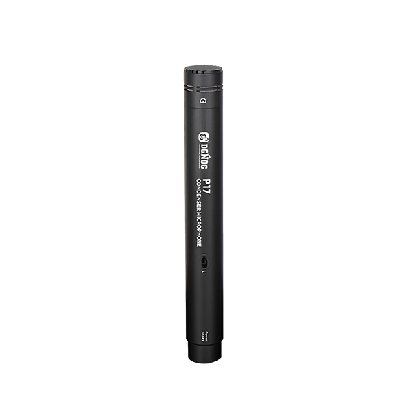 P17 Condenser Microphone