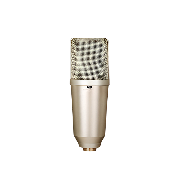 DB-8000 Large Diaphragm Recording Microphone