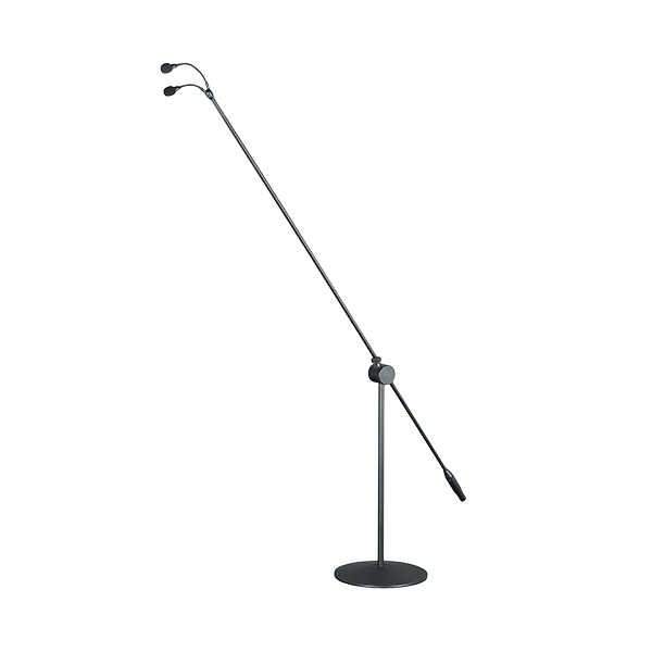 DB-830 Vertical Capacitor Chorus Microphone